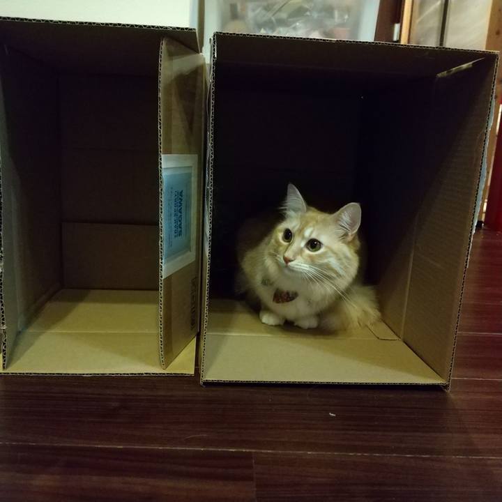 490ed938 99fb 4089 819a 858fc47b75ac 1635688958233