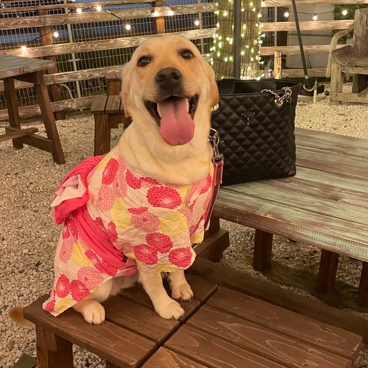 490ee83b 9734 4270 98c6 36adb080491c 1654952552403