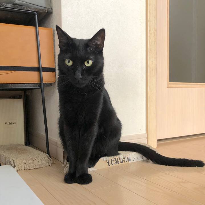 490efd7c 4bde 4cd4 bdc6 8bb9278bc1d7 1569283184193