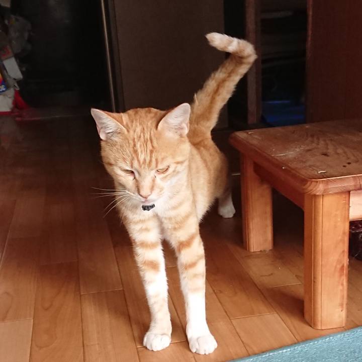 490f0df8 88e0 43db b4b6 3c3015dcfc4f 1563605493096