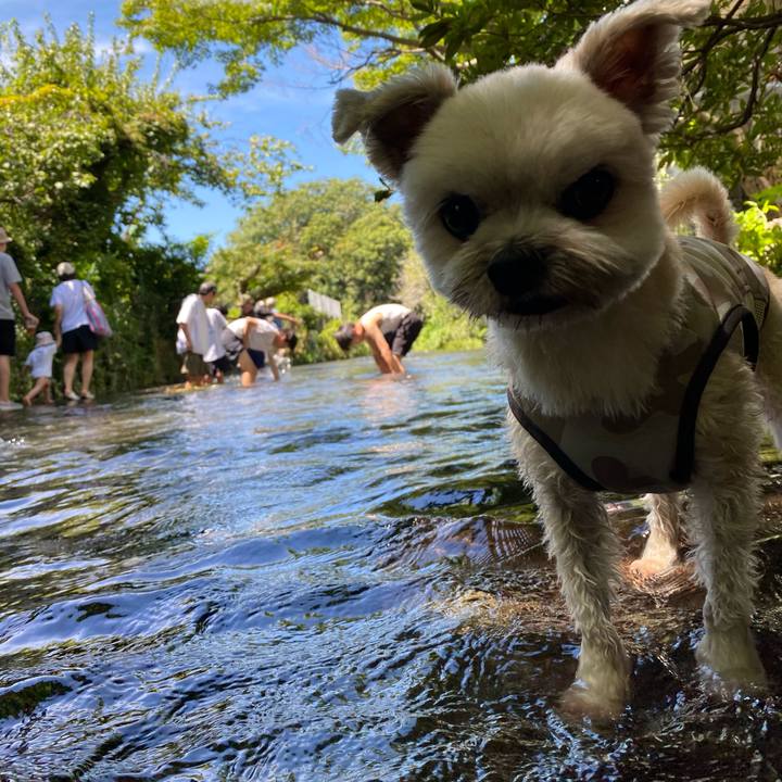 490f5356 7615 4132 b6b9 833f3bd8b609 1690699722745