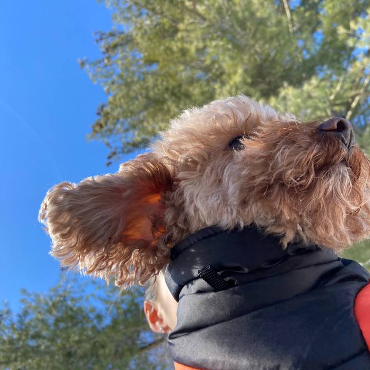 490f5e48 628c 4483 a69a 285e44da9c21 1705860314680