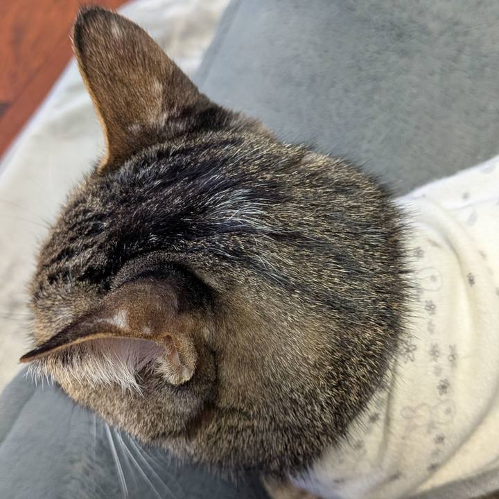 490f7877 829b 490c 8d95 40a201f39157 1768518113992