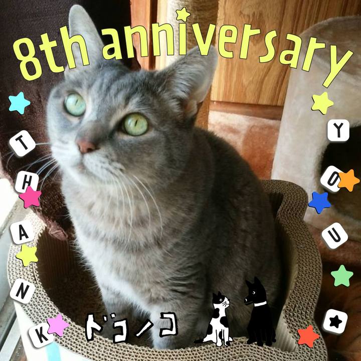 490f90e7 f328 4b07 8edd f5673802f523 1717577235503