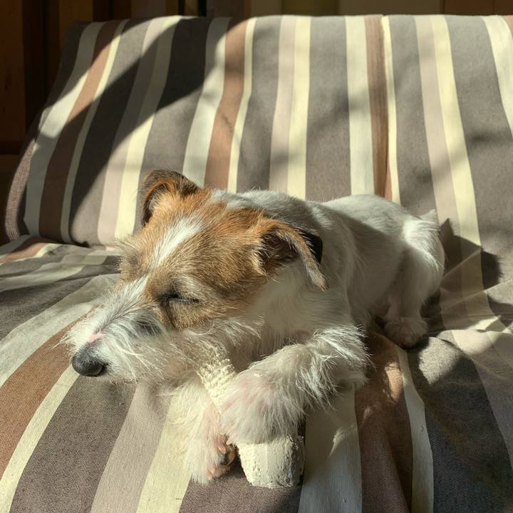 49101044 f0d4 467b a6ab 93c48195cfa0 1578218624288