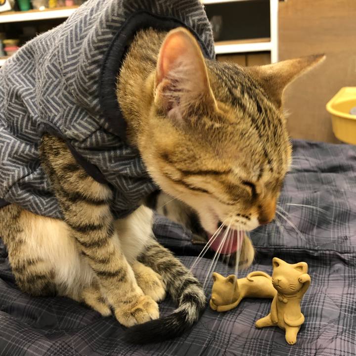 49101ca8 a40e 40d3 a58a 889954bb7d69 1579404900249