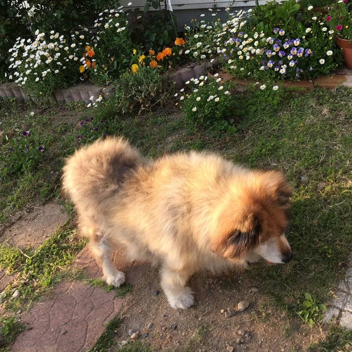 4910286d 0637 441b abf1 21df51d9f718 1572407996613