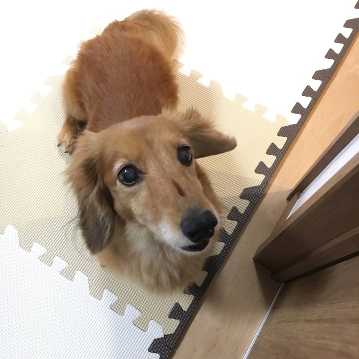 49102c0a 1bd7 4a1b a880 091317a5c398 1621430446721