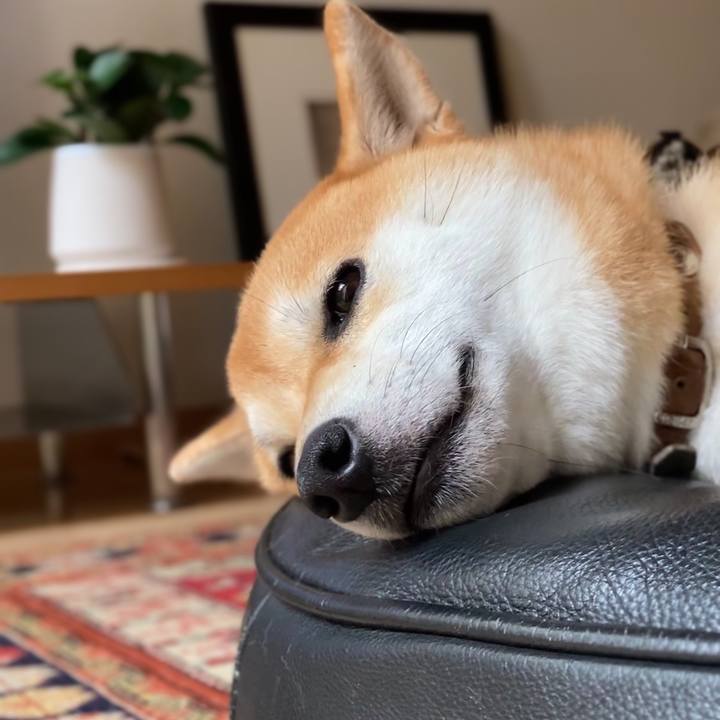 491040ce 8275 4988 b0c0 32e72950e2e1 1657608168636