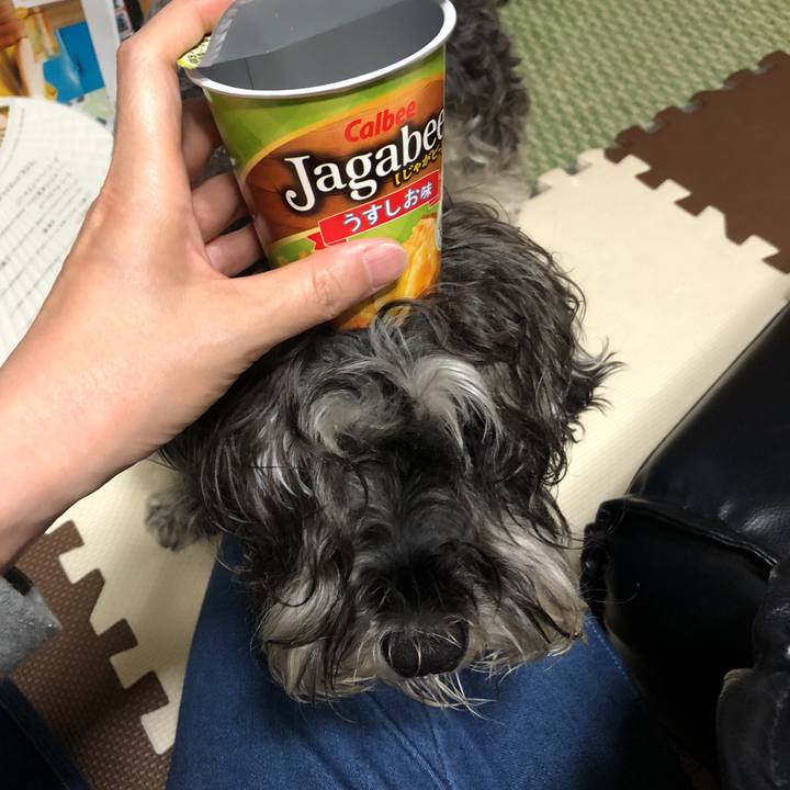 491043d5 c6c4 432d a34c 1506b214e447 1530961661089