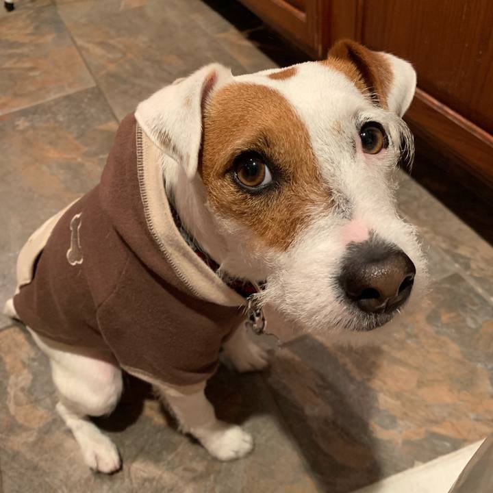 49104703 7f71 4ab6 ae60 e9b9202f97ec 1547040620393