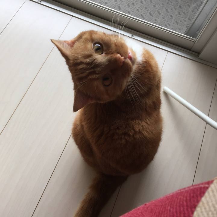 49105330 e428 499e 9839 0ac12168c08d 1590892768681