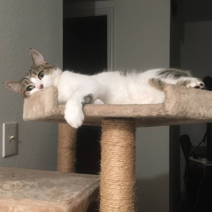 491072e1 4523 4a69 b009 4c644c18ebe0 1662396251986