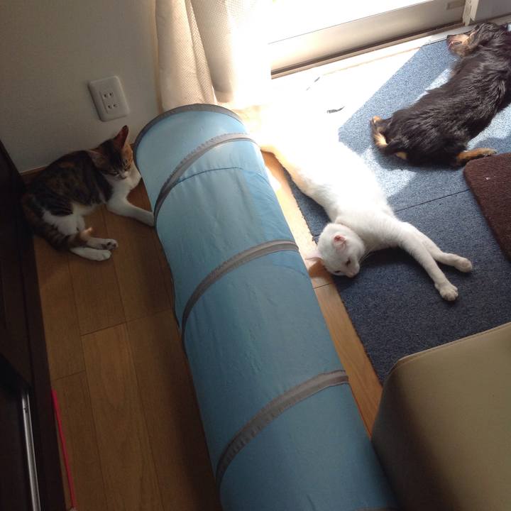 4910a470 f5a5 45ae be72 ea65efb4a52e 1630297521650