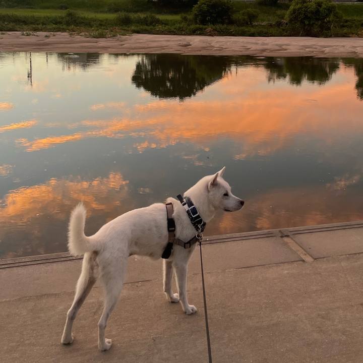 4910b3e9 899d 40f1 a720 6b0b353a621f 1689556892673