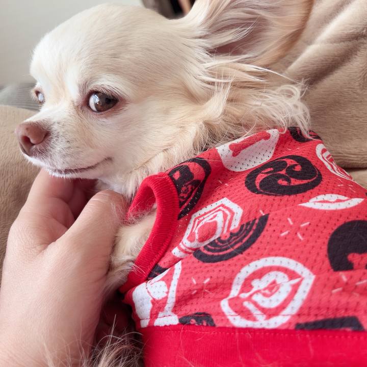 49112805 82d1 45c8 874a f43b2c4791c0 1742798957860