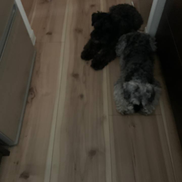 49112c1a d612 4b00 b0e5 f97ebc599dde 1653353401336