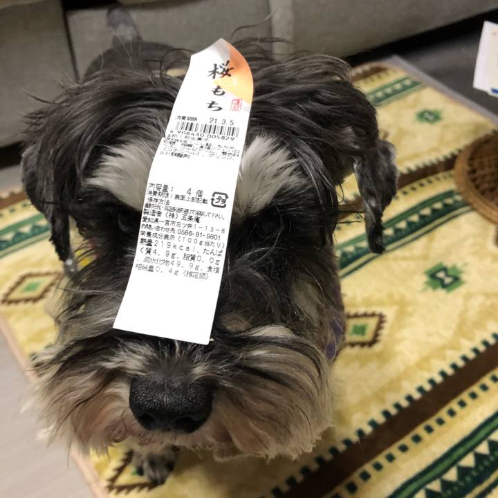 4911332c 0ce6 4375 9ecd 9fe18196b1a3 1614773996672