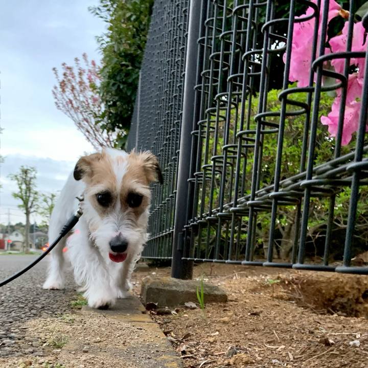 49113594 6988 4d09 ab8e d962f7bc6785 1617540424635