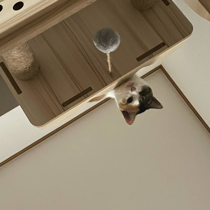 491153a7 118d 4e2a 8d83 edd76106725a 1663957603627