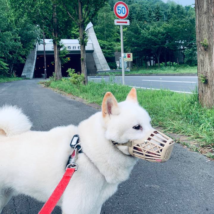 4911580f 5ab8 44bf 82a3 a27b77943e02 1595277767249