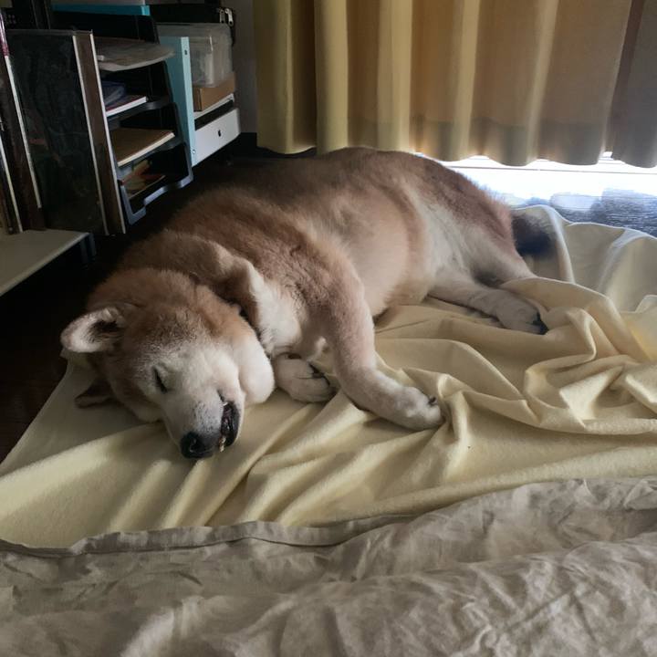 4911648d 43f7 4e79 b0d1 ea44047e6fea 1662938496717