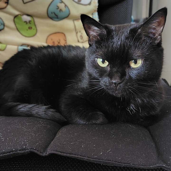 49116aa3 68f1 4973 bf33 d855ab9233c2 1755522171044