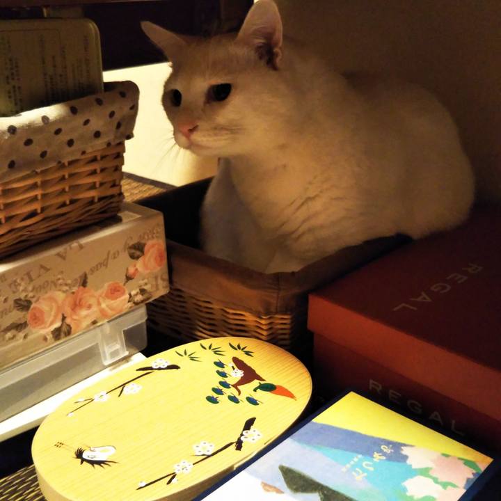 49117882 ccff 4f66 896e c98141868328 1571925845129