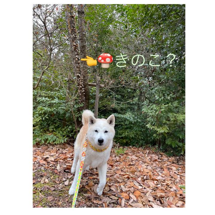 491187e6 5a98 44b6 bb67 3c718ec4f27a 1642981202125