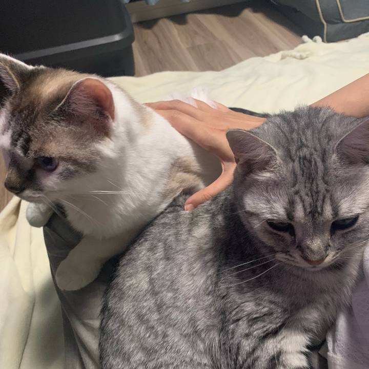 4911c76c e560 4d78 8f09 2a02096cdc12 1655722895152