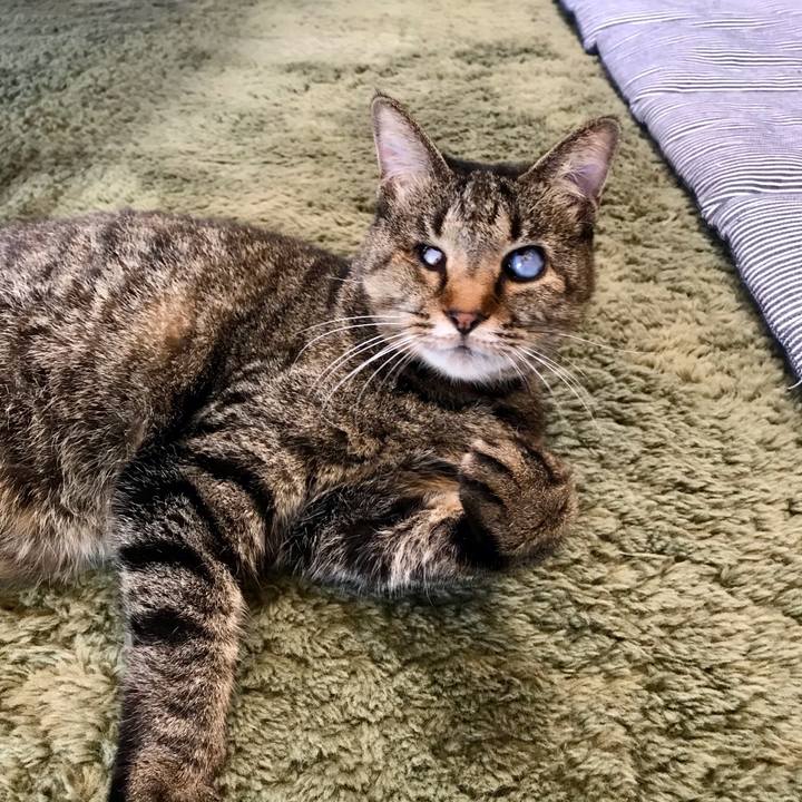 4911c816 0b03 43a3 8f25 54d9bcafaa14 1609118208589