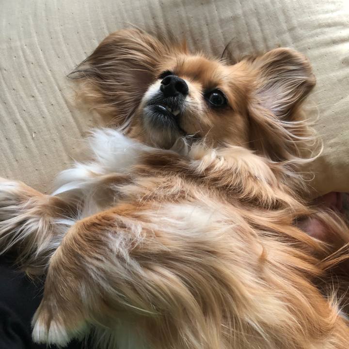 49121eac b9f9 45e7 a7d8 a30ed509b838 1555798175607