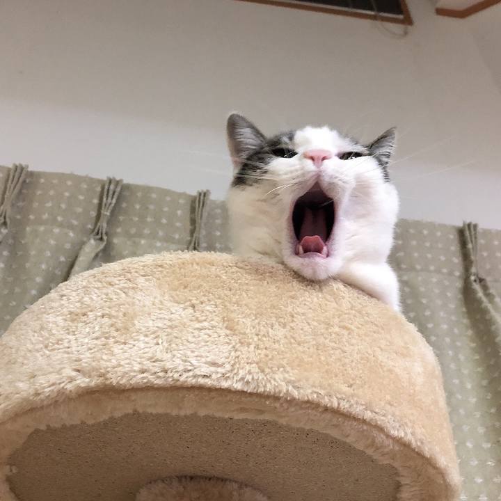 4912203f 3ab7 4697 ae4b 84b135a5bb6a 1643467706085