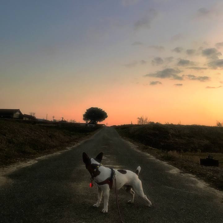 49122bb9 c399 43ba 9d7c 7e14df03e82c 1516095966995