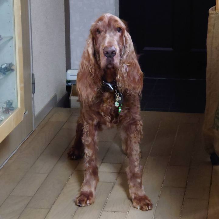 49122e86 70cf 4152 aa89 45d164c0f2c6 1620395461822