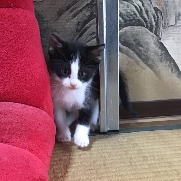 49124699 0a0d 454c 8bba 5c6071c3ec1b 1622969634504