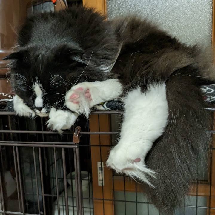 49125a5b e10e 4687 a2f1 4b267e8ed4b4 1681564724181