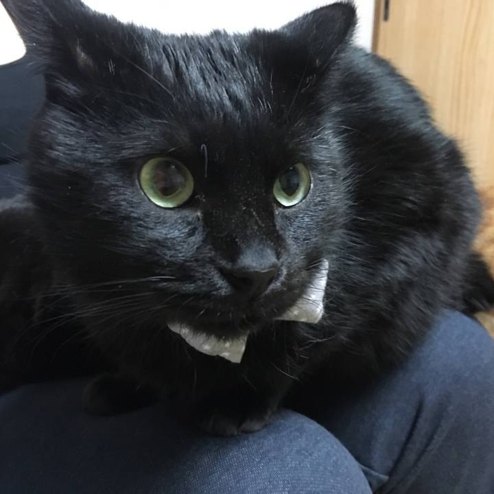 4912a895 ca29 4701 8e45 c9f60f1b3d21 1544700898112