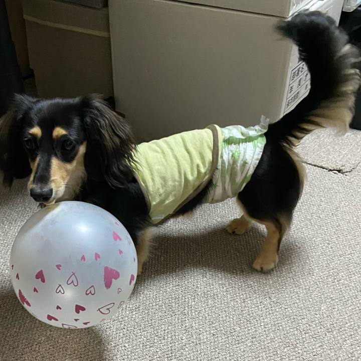 4912a962 7d0d 4a30 afd4 dd25a9db9a60 1692018060846