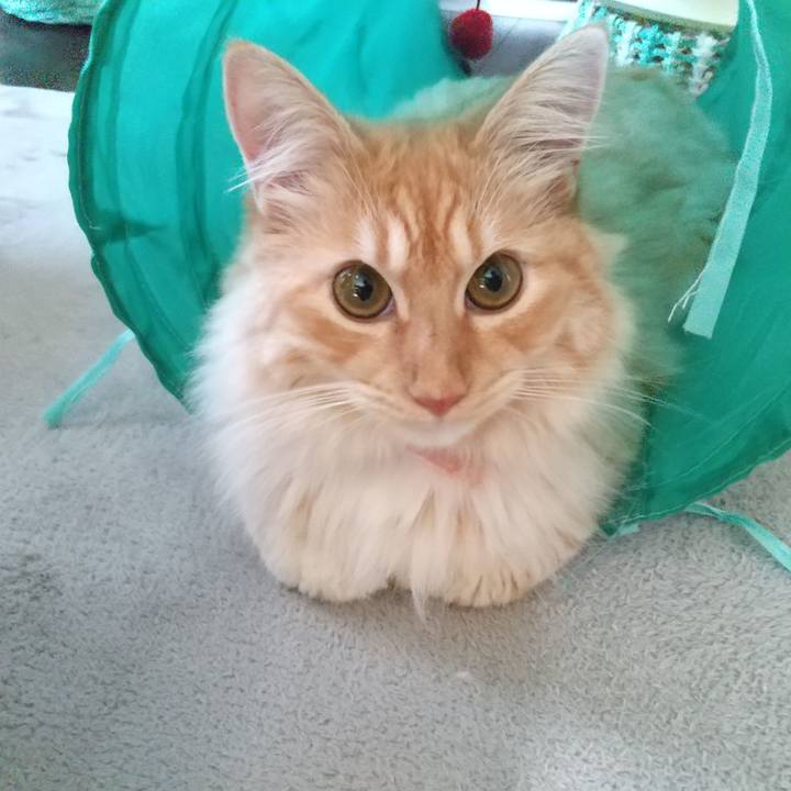 4912c9d3 078f 484d 89ee cab61f95fbb1 1626647808623