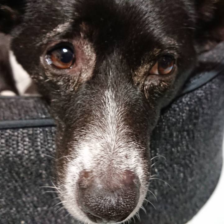 491303c7 efa0 4f03 a588 2386a20140cc 1517497537533