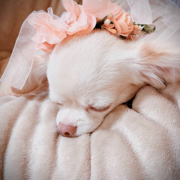 49130a51 e0d3 4034 bf07 e52ff1a0633e 1670750286750