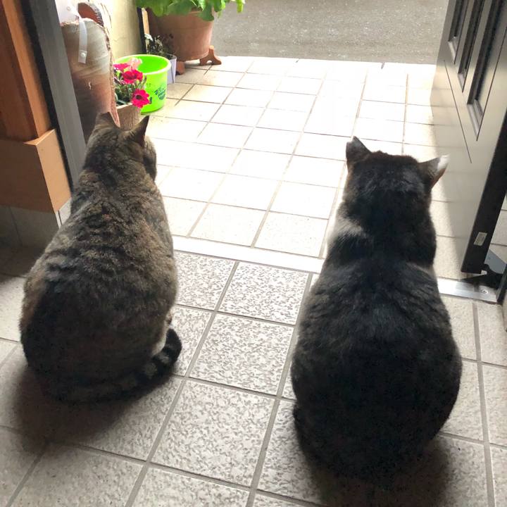 4913208a 1576 40e8 b4cf ee6a231091db 1521198706472