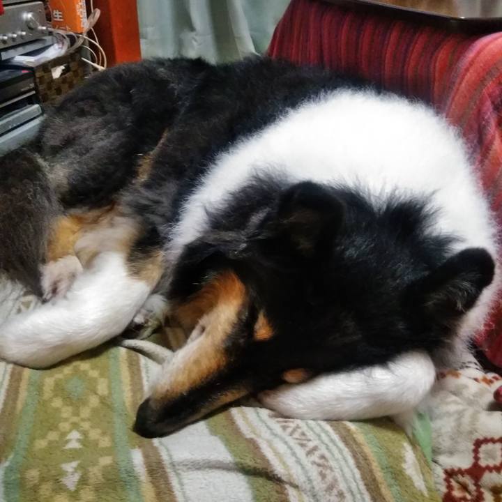 4913568a 3894 4010 9ab3 678f6ea886ea 1543932531719