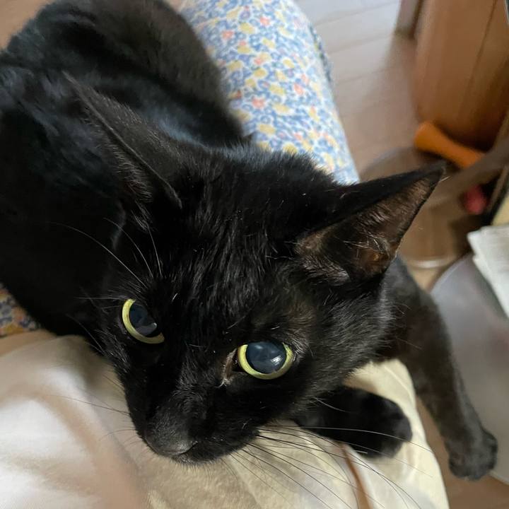 49136b5d 1b93 41af b62f 08a61ca2c5ff 1751190034901