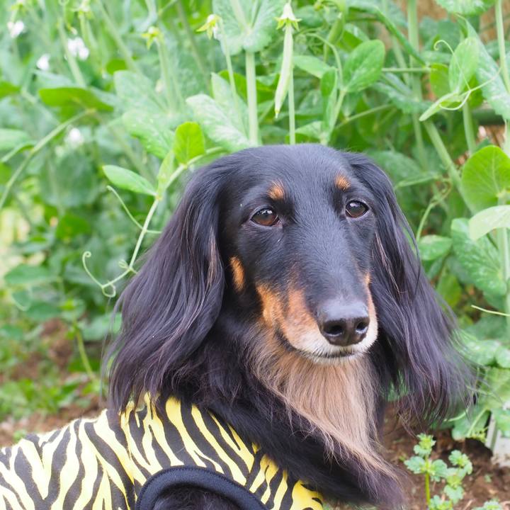 49136fe9 778b 490c bac0 0d63156d5fa3 1650174473900