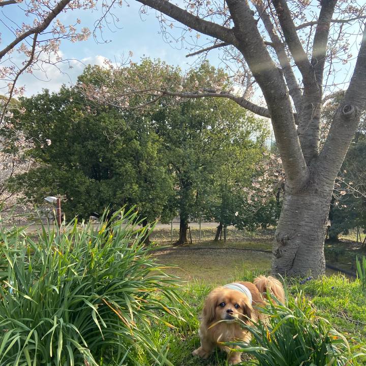 4913767d 4b98 4528 8138 870d5a4eb92b 1616799858003