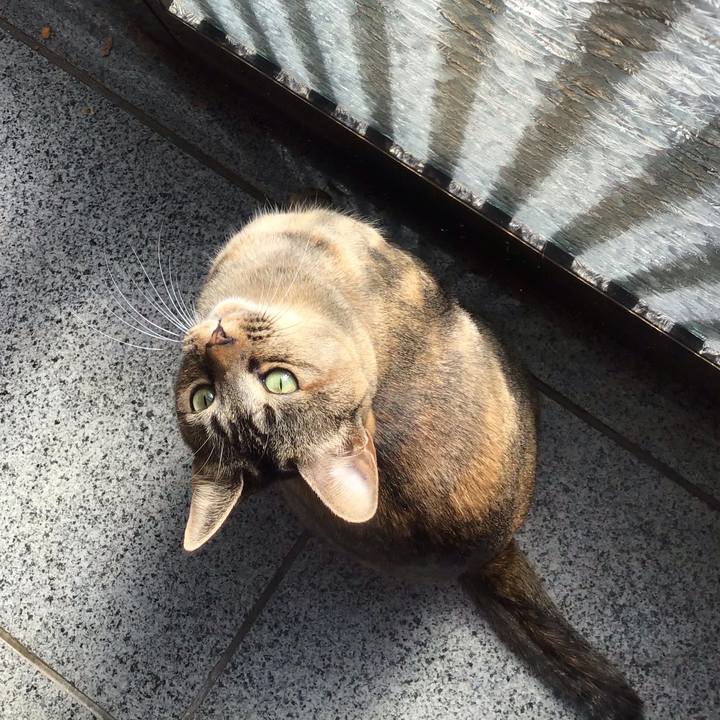 4913925e b3a3 4e31 b692 ab4117cdc0a6 1612754678572