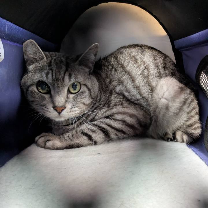 4913c4b8 7827 4199 bbb8 5836defd4bc6 1742368840675