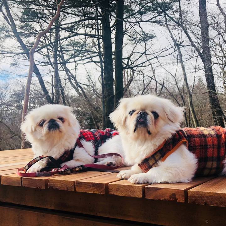 491404e0 16a3 4fa9 bdd7 9326cefcbe8e 1574509078908